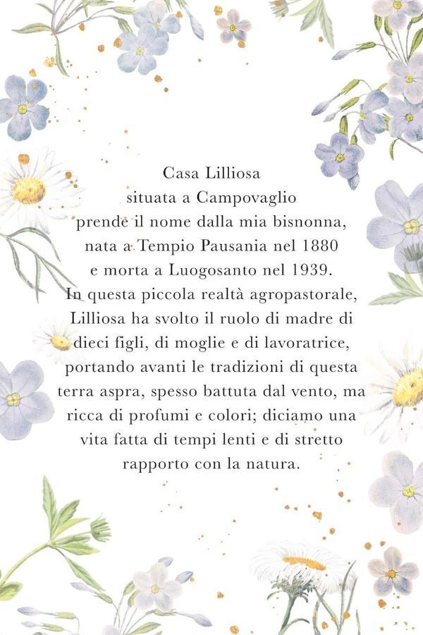 CampavaglioCasa Lilliosa别墅 外观 照片