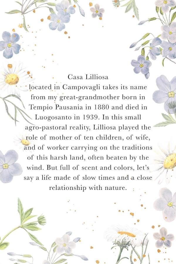 CampavaglioCasa Lilliosa别墅 外观 照片